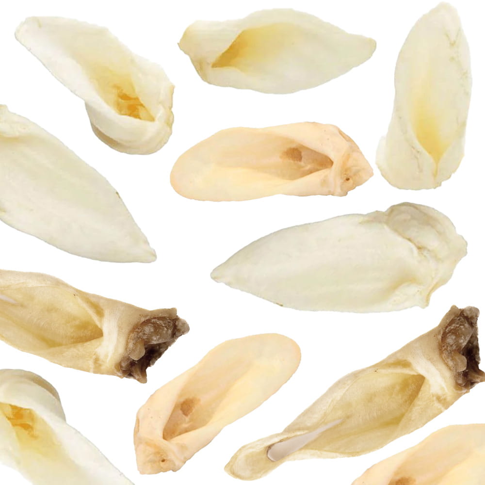 Wiejska Zagroda Przysmak dla psa Suszki Przysmaki (dorosły) 4x100g